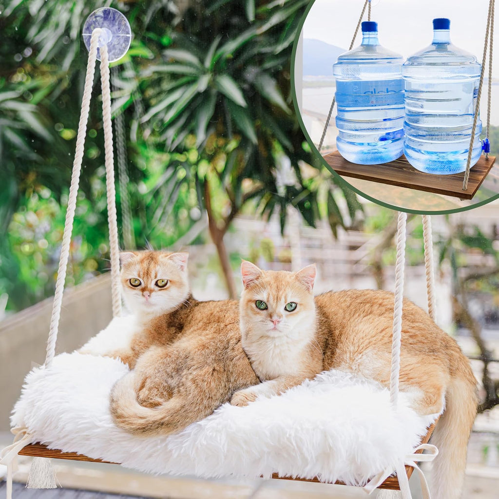 Cat Window Perch with Industrial-Grade Suction Cups - Solid Pine Wood Hammock Bed, Soft Cushion - 42 lb Capacity for Cat