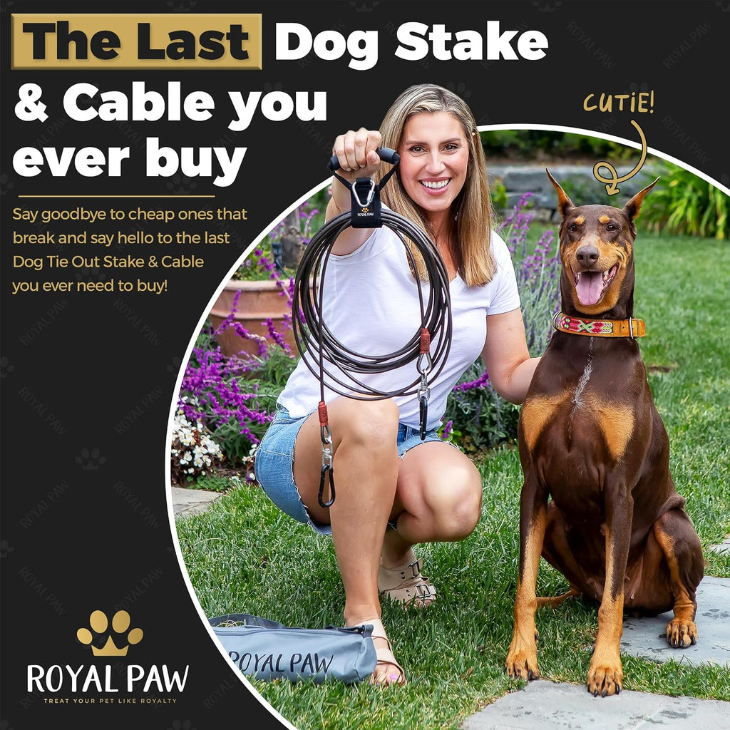 ROYAL PAW Dog Tie Out Cable and Stake 30ft - for Large Dogs up to 300 lbs - Heavy Duty Tether and Dog Stake for Yard, Be