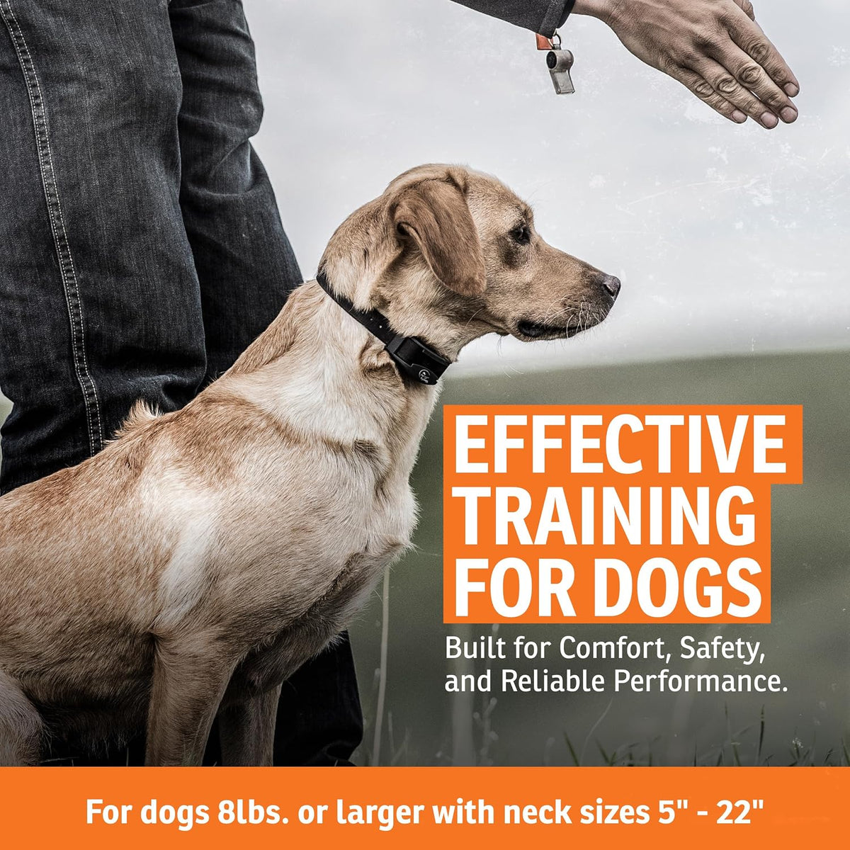 SportDOG FieldTrainer 425X Remote Trainer, 500-Yard Range, Waterproof