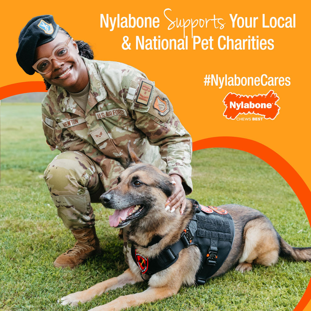 Nylabone Power Chew Original Bone Dog Chew Toys, Small, 3 Count