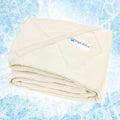 PetAmi Cooling Dog Blanket Lightweight Soft for Large Pet Cat, 40x60 Beige