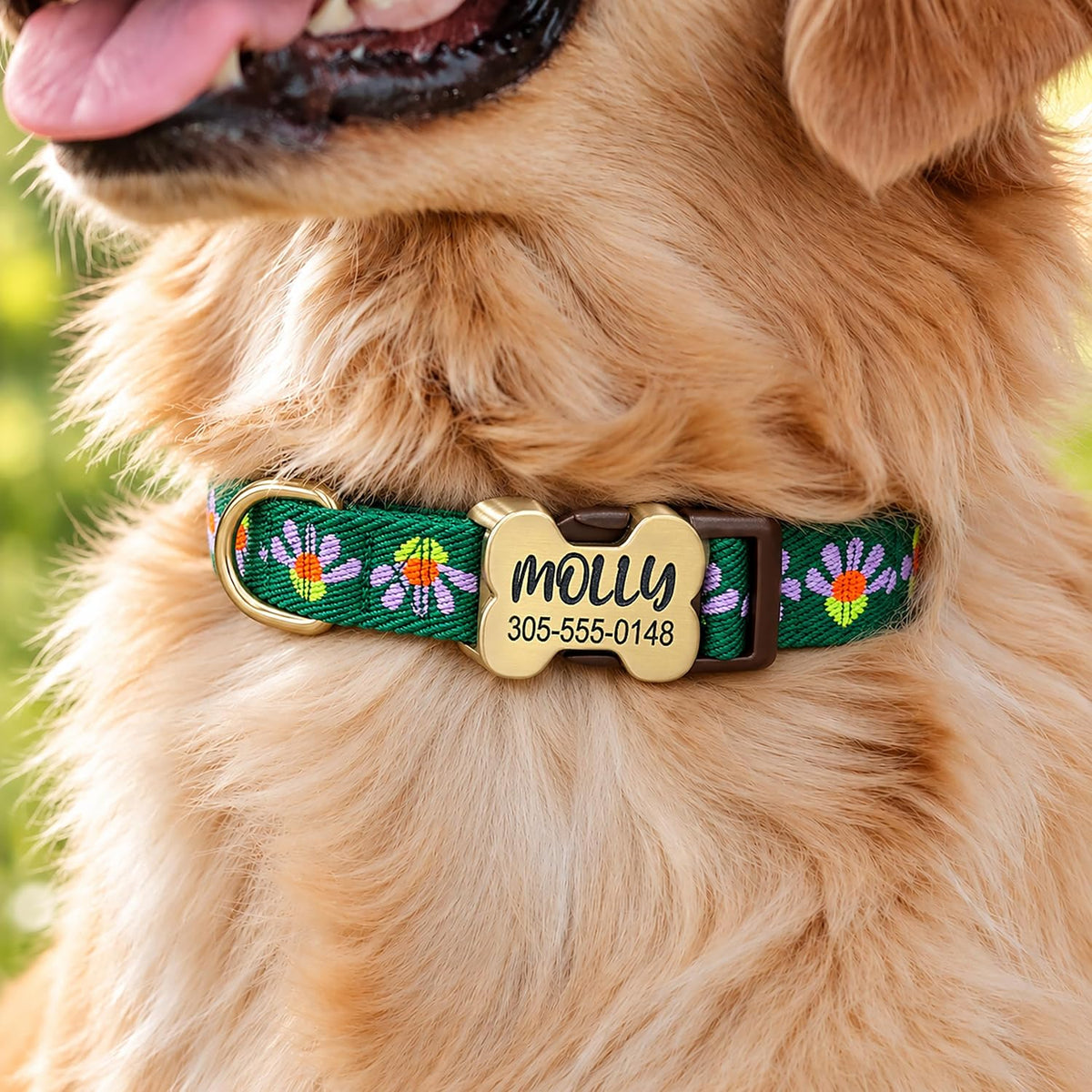 Personalized Jacquard Dog Collar with Engraved Name and Phone