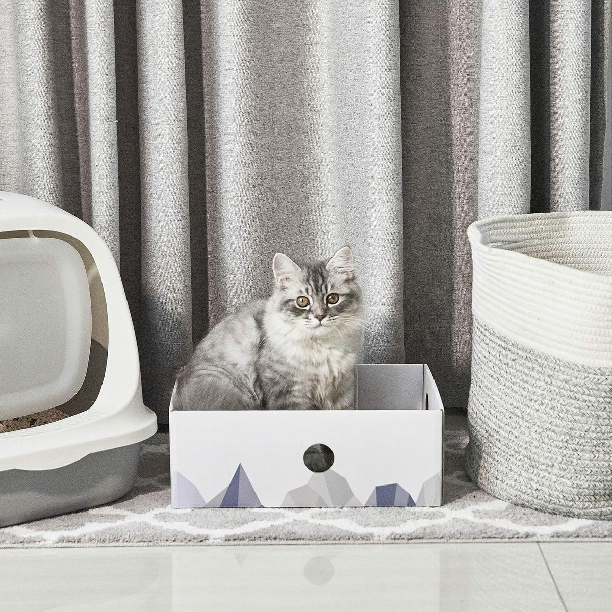 Conlun Cat Scratcher Box, Cardboard Pad, Bed for Indoor Cats, White
