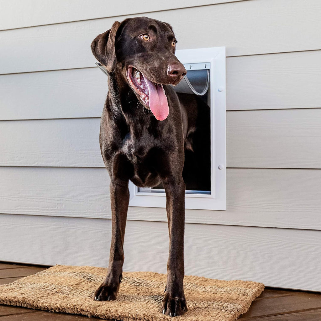 PetSafe Wall Entry Pet Door, Telescoping, Dogs up to 100 lb, Large