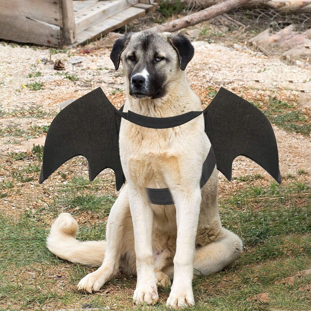 Pet Costumes Bat Wings for Puppy and Cat Halloween Dog Costumes Party Cosplay Decoration Black Apparel for Cat Small Dog