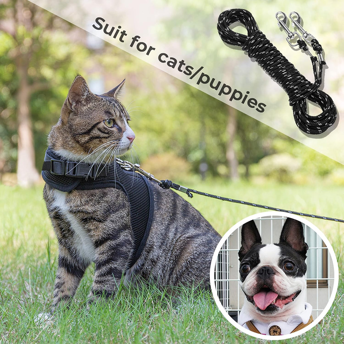 Long Cat Leash Reflective Pet Rope for Yard Walking Training Outdoor Use