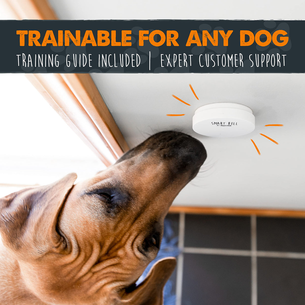 Mighty Paw Smart Bell 2.0 Dog Door Bell for Potty Training Dogs & Puppies