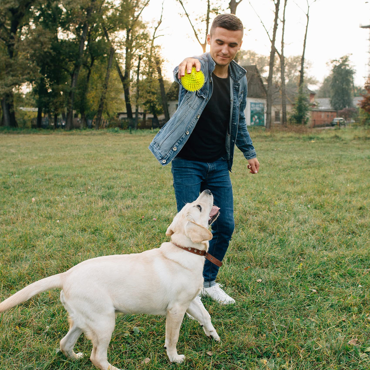 VITEVER 3.5” Squeaky Dog Toy Balls (6 Colors) Puppy Chew Toys for Teething, BPA Free Non-Toxic, Spikey Dog Balls for Medium, Large & Small Dogs, Durable Toys for Aggressive Chewers