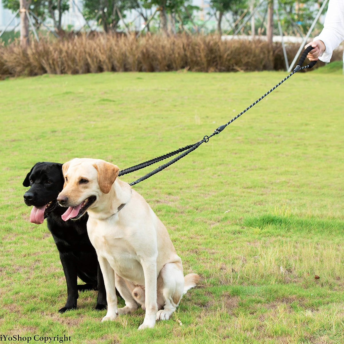 Double Dog Leash, 360° Swivel, No Tangle, Large, 25-150 lbs, Black