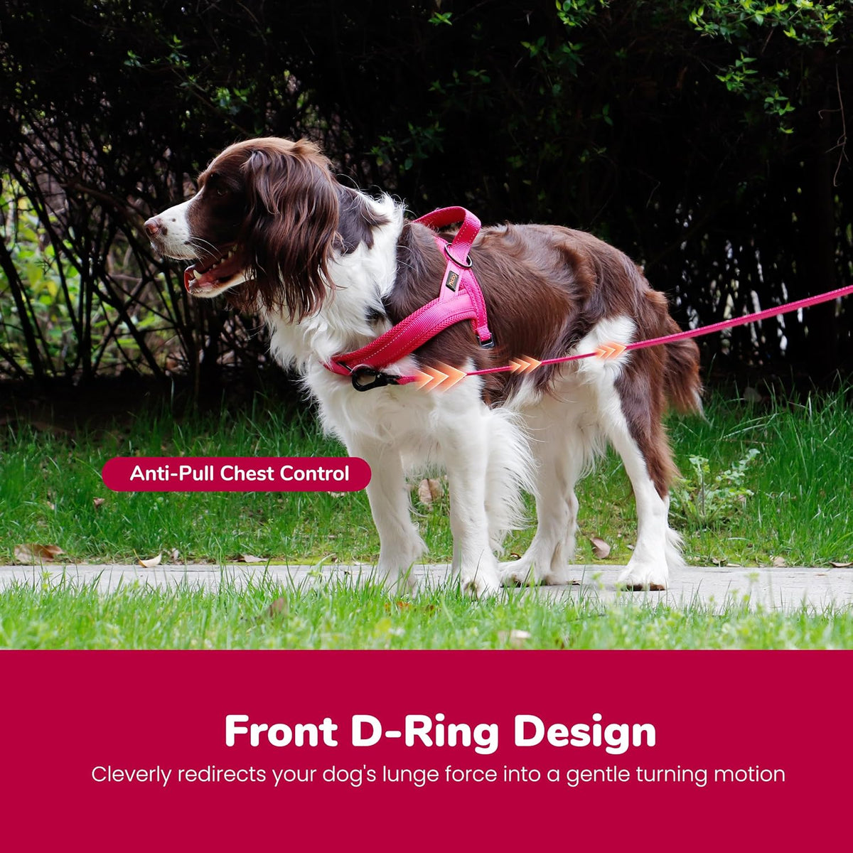 No Pull Dog Harness for Large Dogs, Breathable Mesh Padded,Hot Pink,L