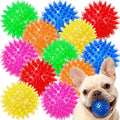 LECHONG 12-Pack Squeaky Spiky Dog Balls, 2.5" Balls for Small Medium Dogs
