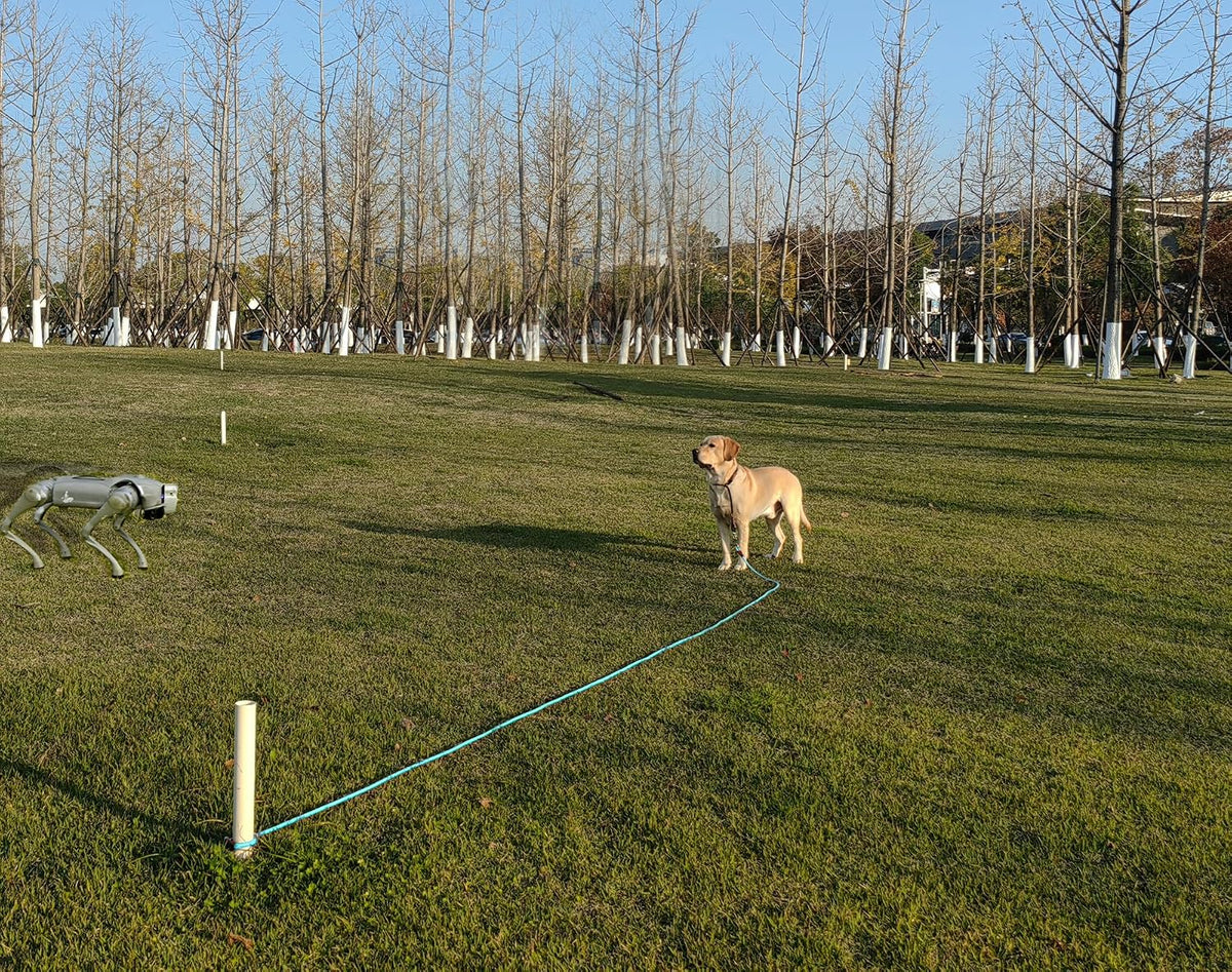 25FT Dog Tie Out Leash Long Tether 8-10-13-15-20-30-35-40-50-65FT