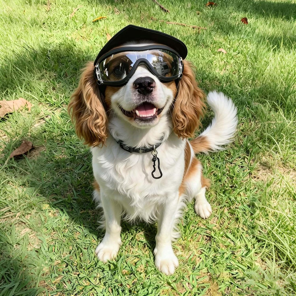 Clear Dog Goggles for Small Dogs, UV Dog Sunglasses Outdoor Eye Protection, Small Glasses for Dogs Cycling Driving Ridin