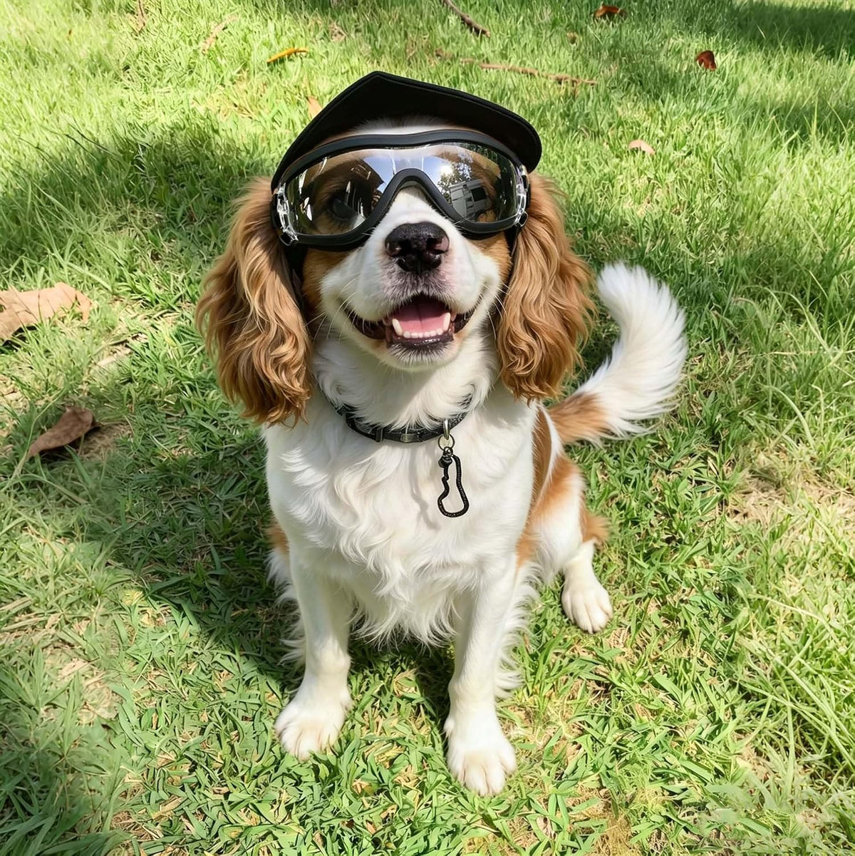 Clear Dog Goggles for Small Dogs, UV Dog Sunglasses Outdoor Eye Protection, Small Glasses for Dogs Cycling Driving Ridin