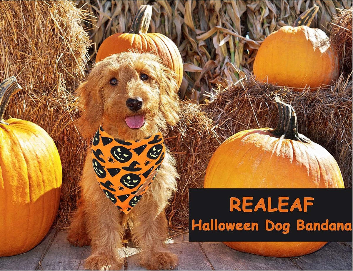 Halloween Dog Bandanas 2 Pack, Pumpkin and Spider Web Bibs, Triangle Reversible Fall Pet Scarf, Premium Durable Fabric, 
