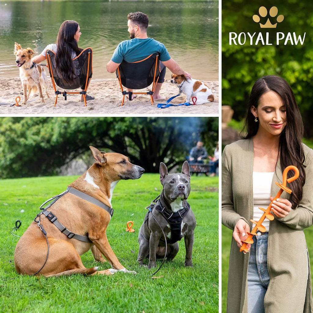 ROYAL-PAW Dog Tie Out Stake - for Large Dogs up to 210 lbs - Heavy Duty Dog Stake for Yard, Beach & Camping Outside - Be