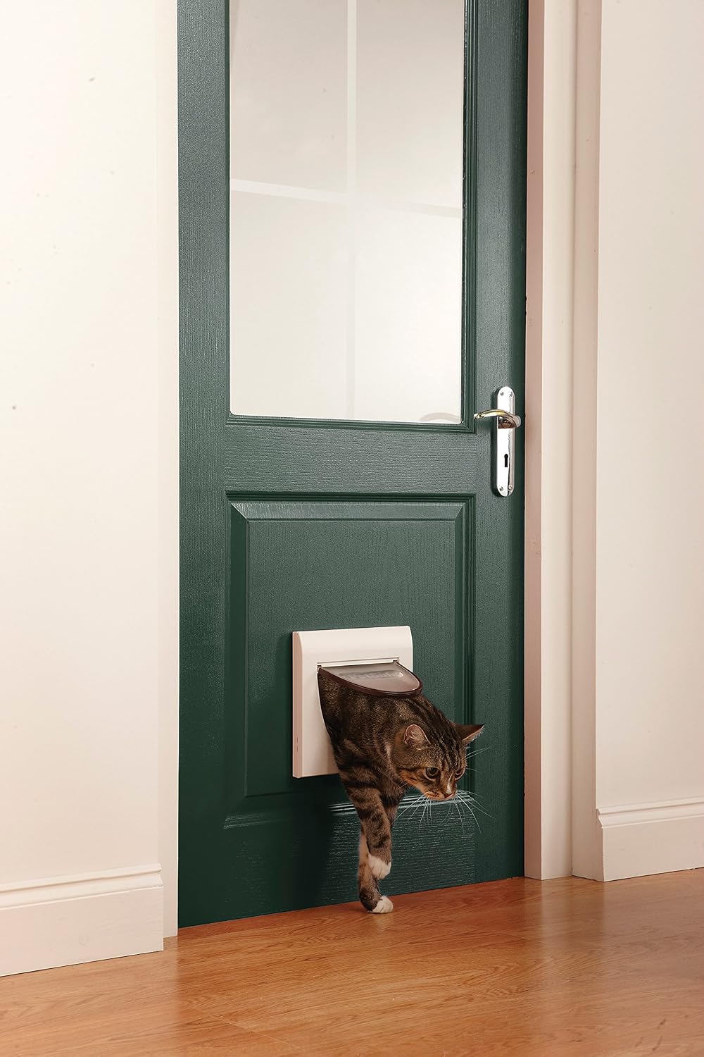 PetSafe Magnetic Key for Cat Flaps, 2-Pack