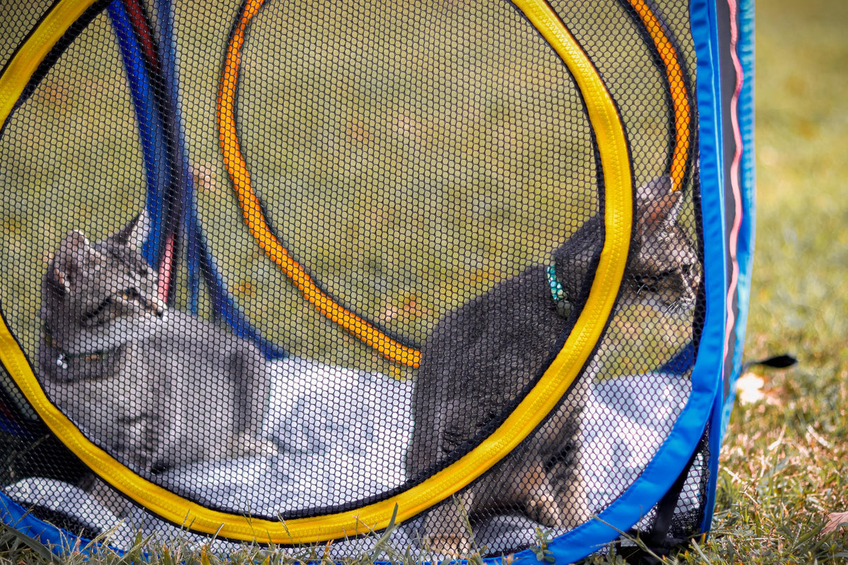 Pet Fit For Life Cat Enclosure, Collapsible Mesh Indoor & Outdoor Cat Cube