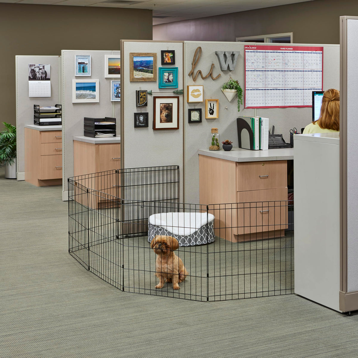 MidWest 30-Inch Exercise Pen, No Door, 16 Sq Ft Play Area