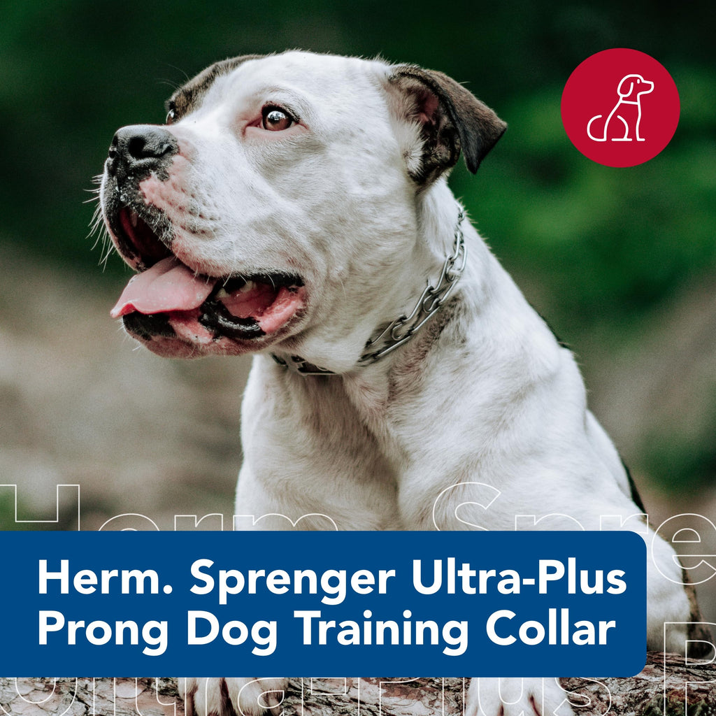 Coastal Pet Herm Sprenger Prong Collar, Chrome, 3.0 mm x 18"–20"
