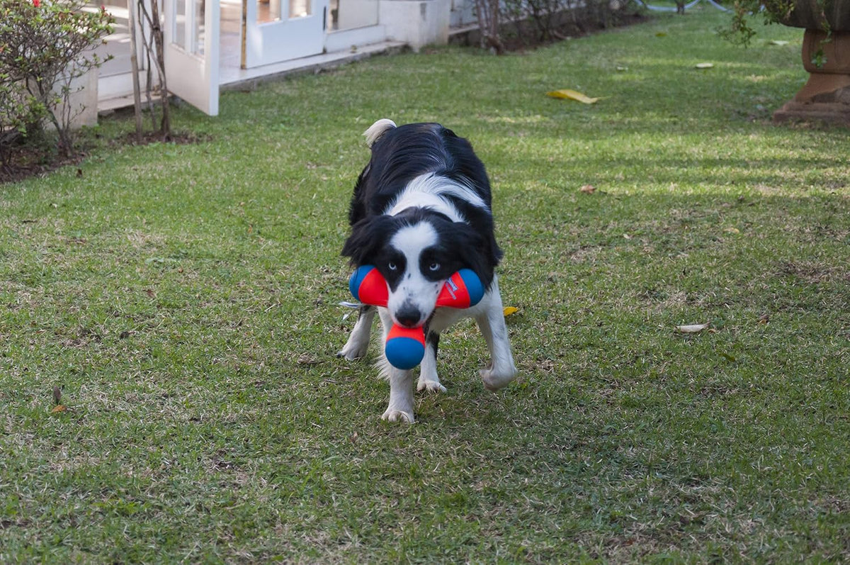 Triangular Fetch & Tug Dog Toy by Chuckit!