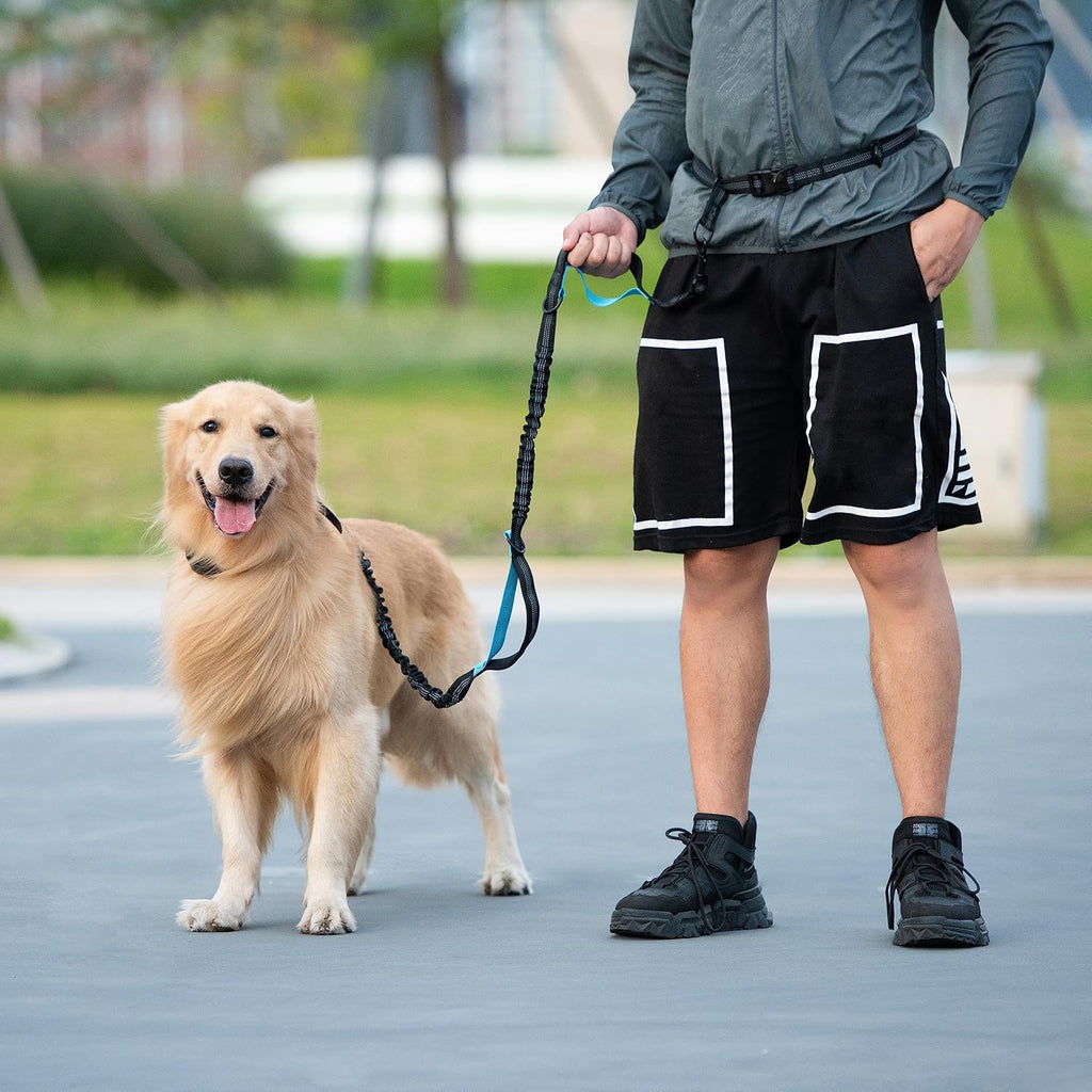 Retractable Hands Free Dog Leash, Medium/Large, 25-150 lbs, Black