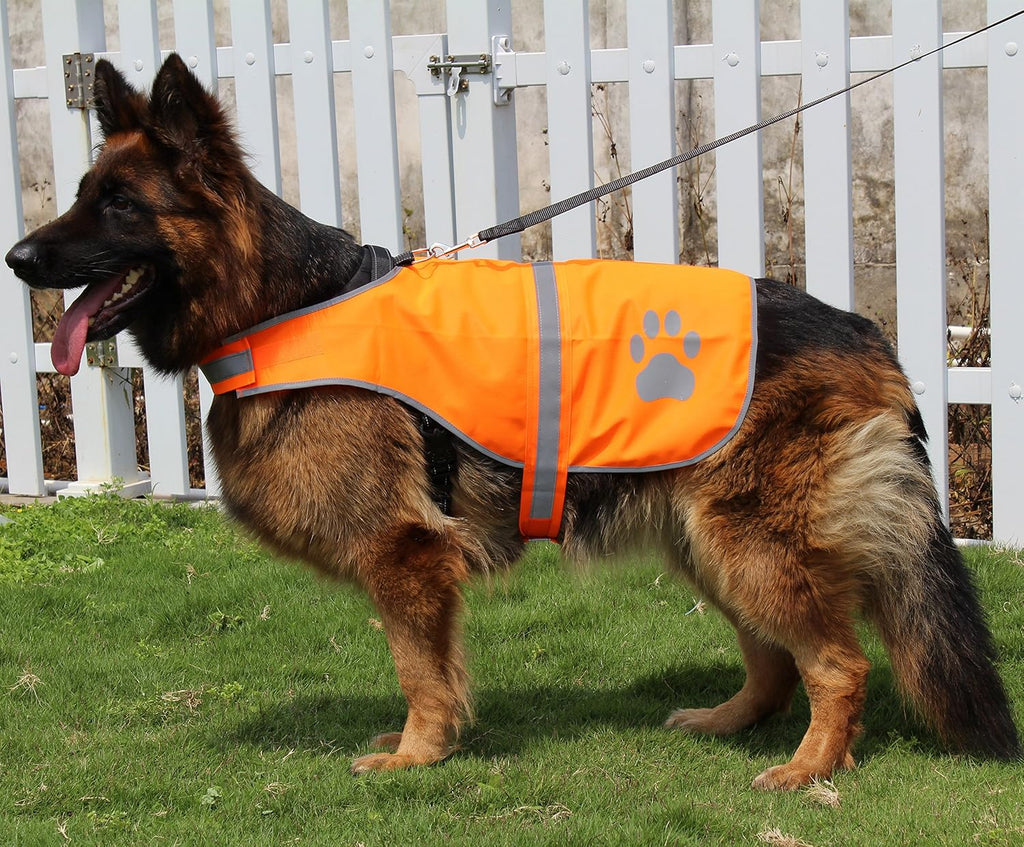 Dog Reflective Vest High Visibility Safety Jacket, Orange, XL