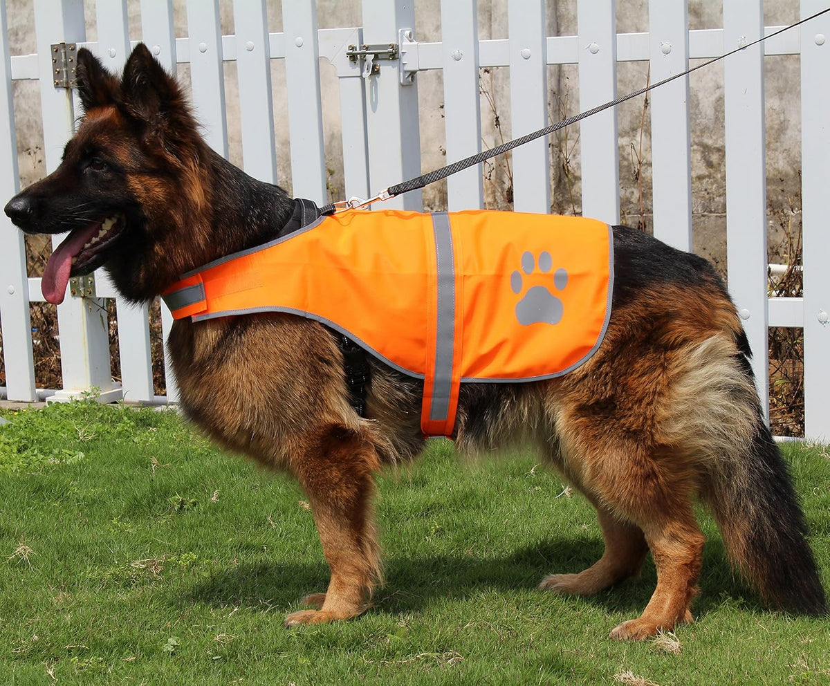 Dog Reflective Vest High Visibility Safety Jacket, Orange, XL