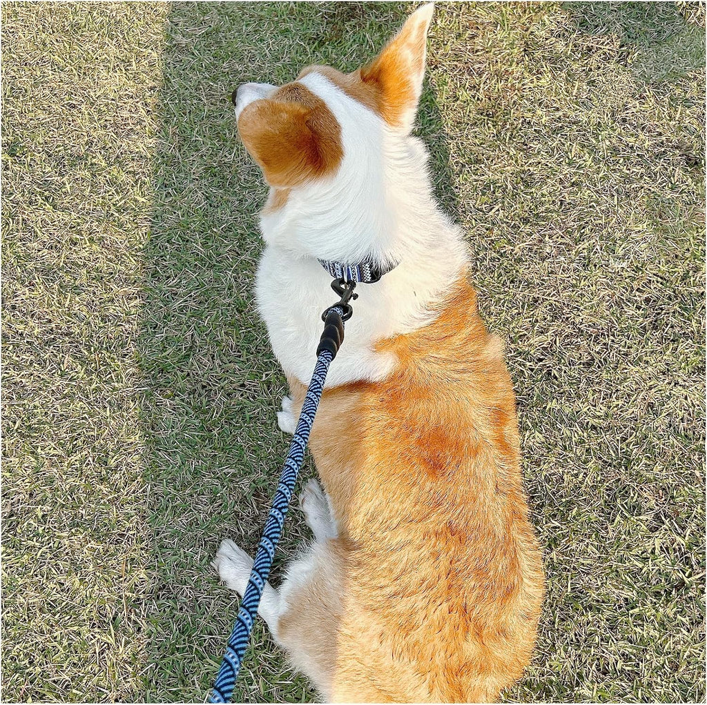 MayPaw 3ft Short Rope Dog Leash for Large Medium Dogs Soft Handle Dog Lead