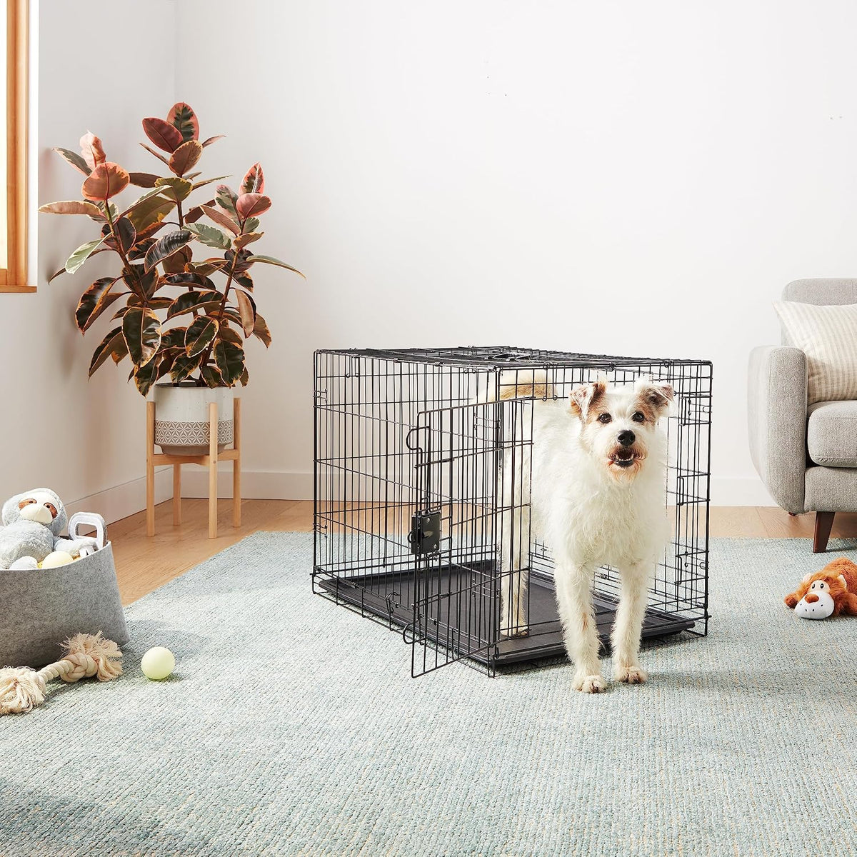Amazon Basics Portable, Easy to Assemble, Foldable Metal Wire Dog Crate with Removable Tray, Double Door, Divider Panel,