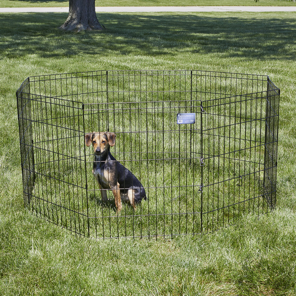 MidWest 30-Inch Exercise Pen, No Door, 16 Sq Ft Play Area