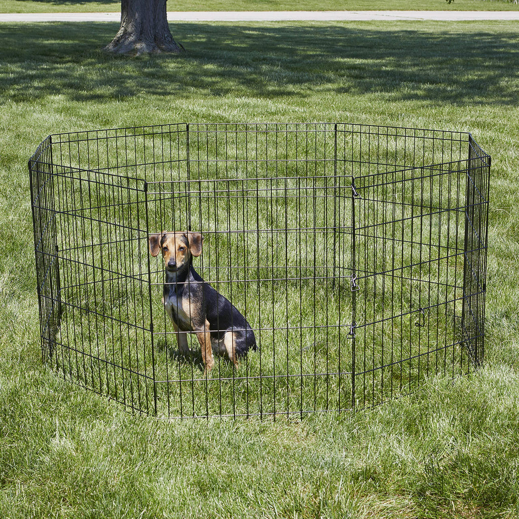 New World by MidWest 30-Inch Exercise Pen, No Door, 16 Sq Ft Play Area